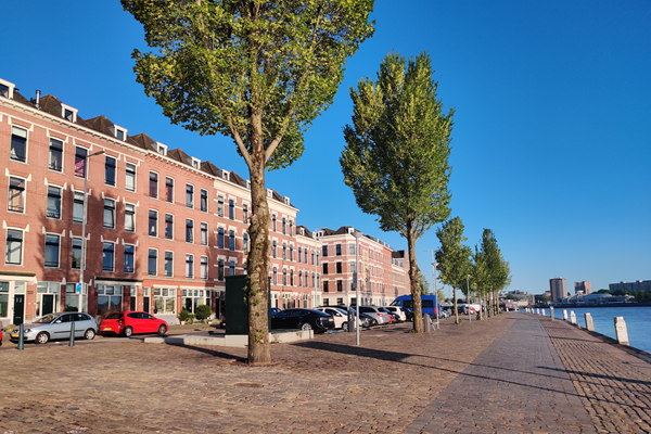 Medium property photo - Zinkerstraat 13, 3071 HP Rotterdam